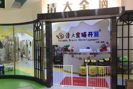 清大全脑开发