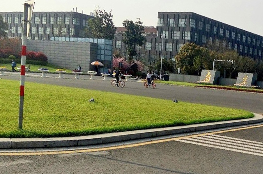 江苏南京栖霞区仙林街道文成路