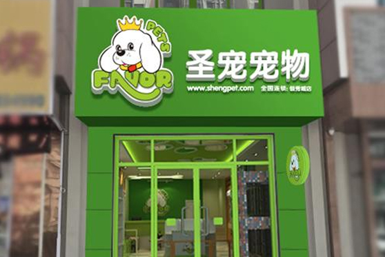 河南省郑州市圣宠宠物店